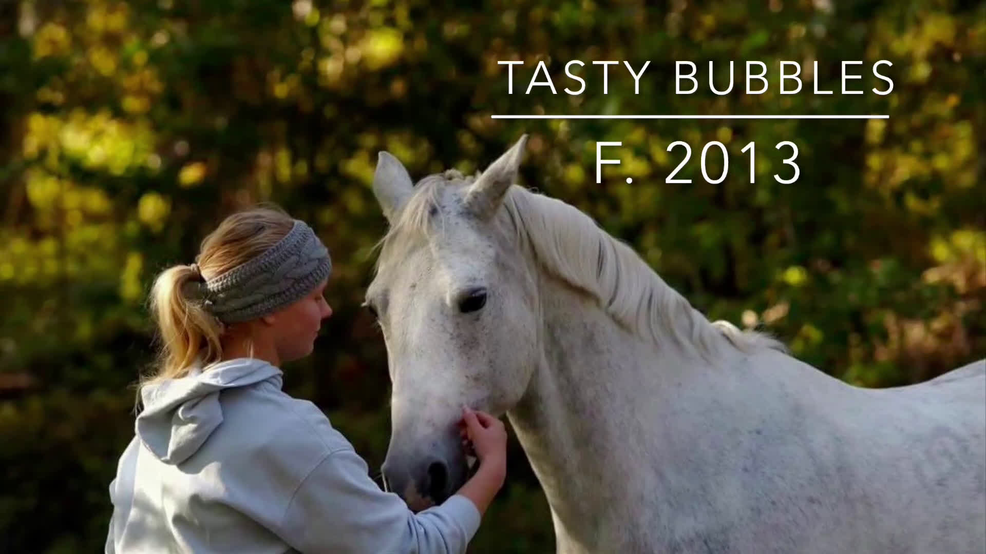 Allround hästar till salu: En ponny för hela familjen - Video 1