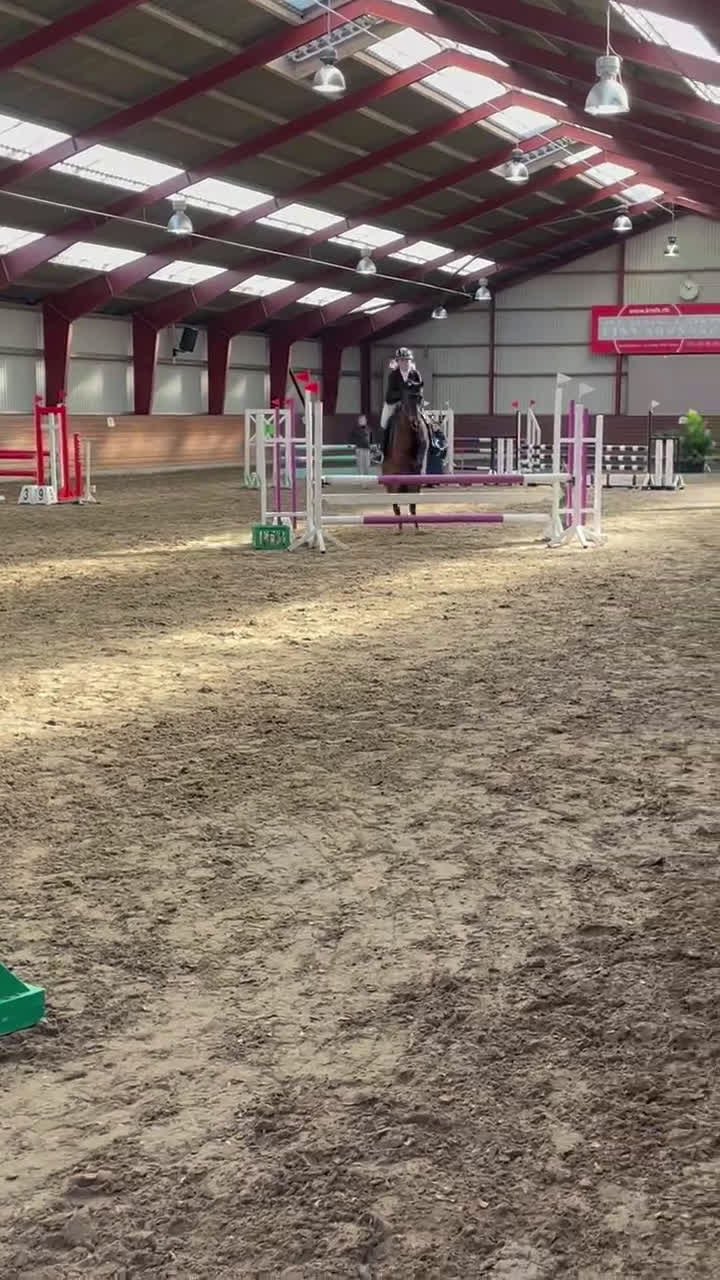 Hoppning hästar till salu: Fantastisk springpony  - Video 3