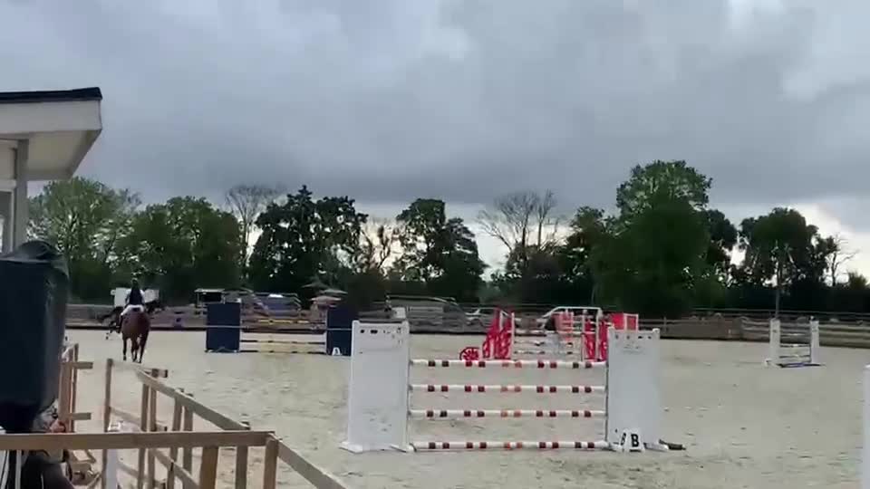 Hoppning hästar till salu: Hopphäst med mycket scope! - Video 4