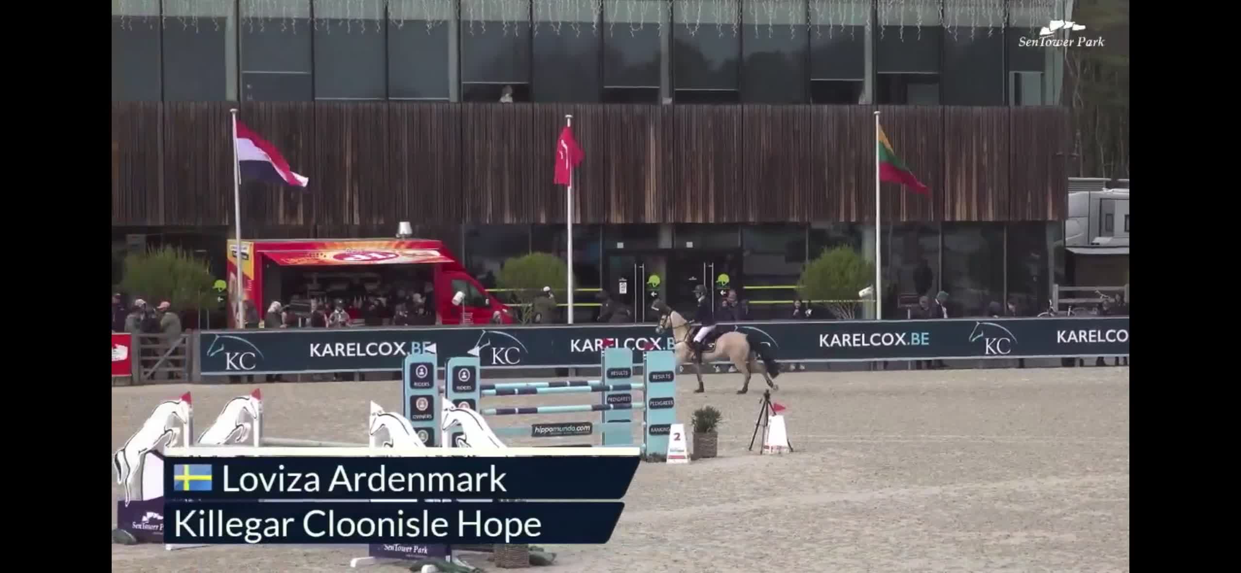 Hoppning hästar till salu: Killegar Cloonisle Hope - Diego - Video 2