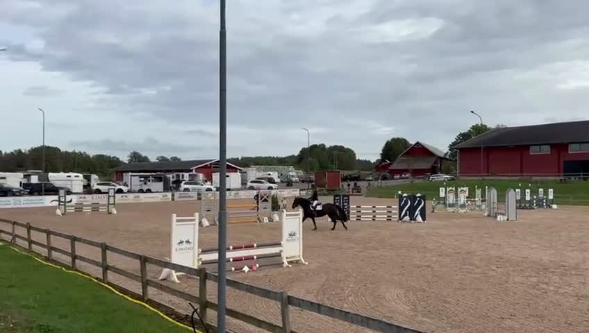 Hoppning hästar till salu: Trevlig junior/childrenhäst i Norrköping - Video 1