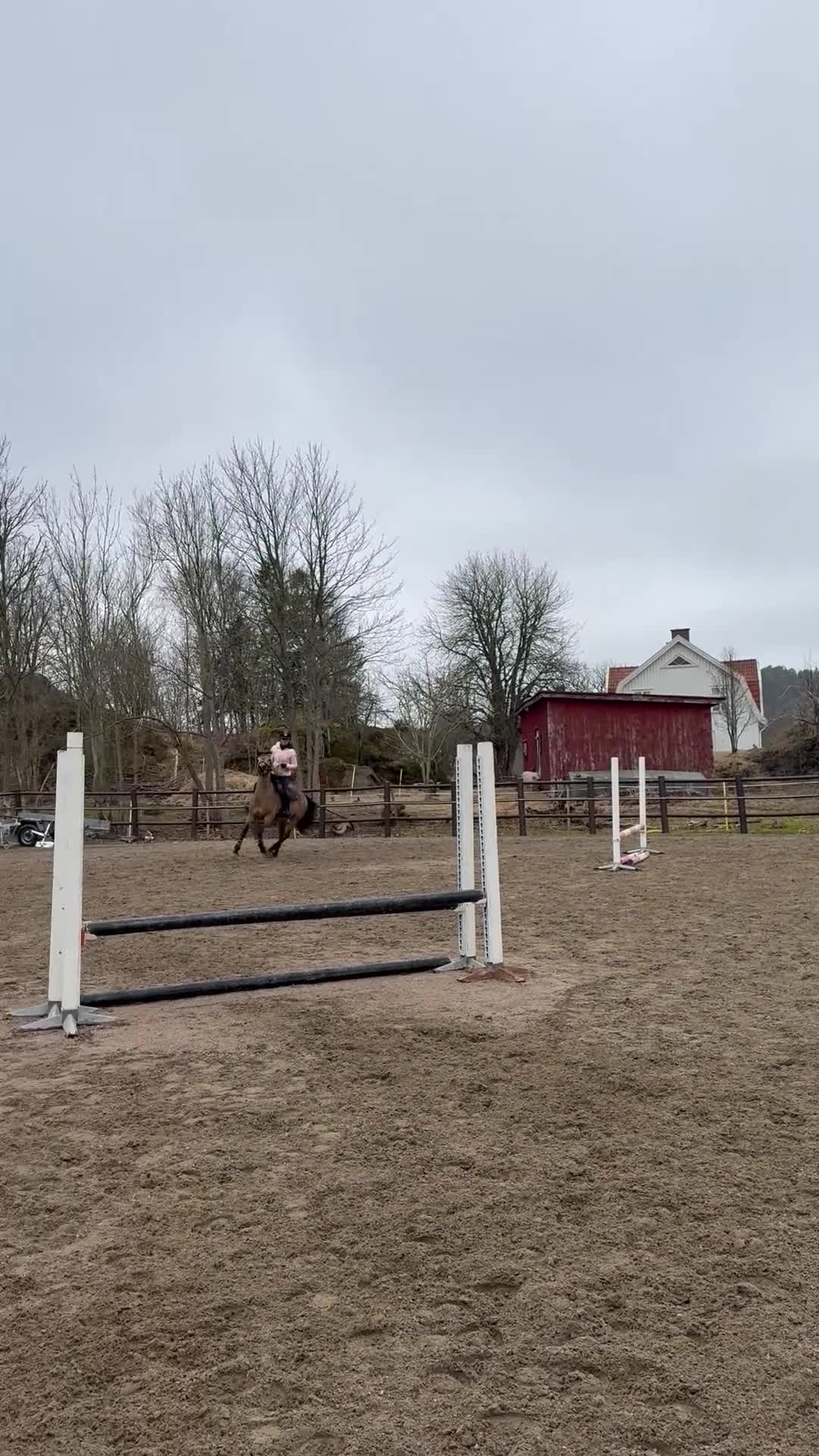 Allround hästar till salu: Talangfull D-ponny med hjärtat på rätt ställe✨ - Video 2