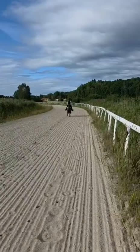 Allround hästar till salu: Vår underbara Spirit söker kärleksfullt hem  - Video 1