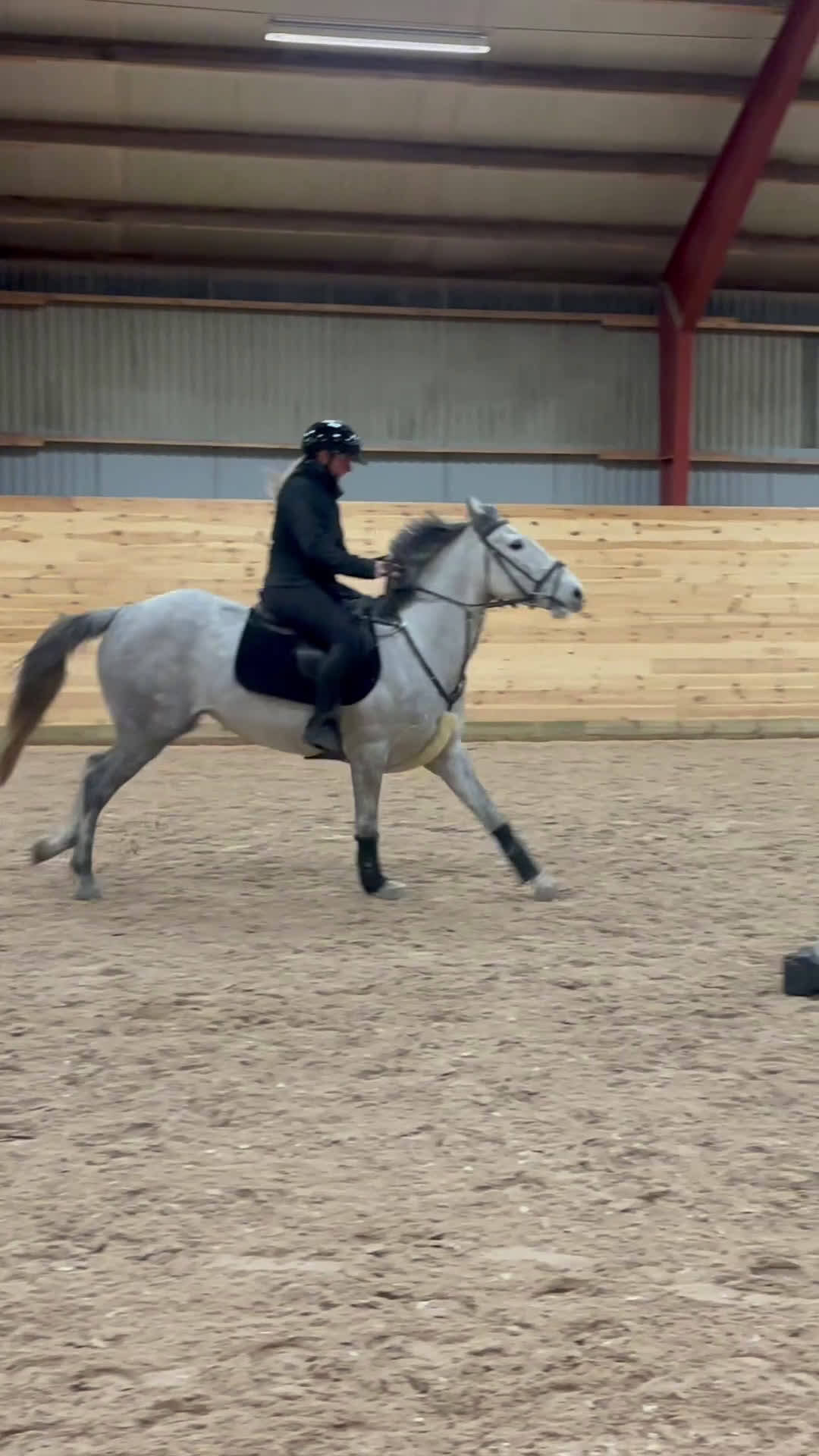 Hoppning hästar till salu: Fantastisk ponny!!💫💕 - Video 3