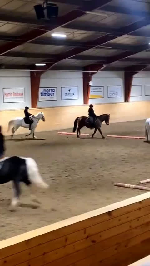 Allround hästar sökes: !Medryttarhäst sökes! i Sundsvall - Video 3