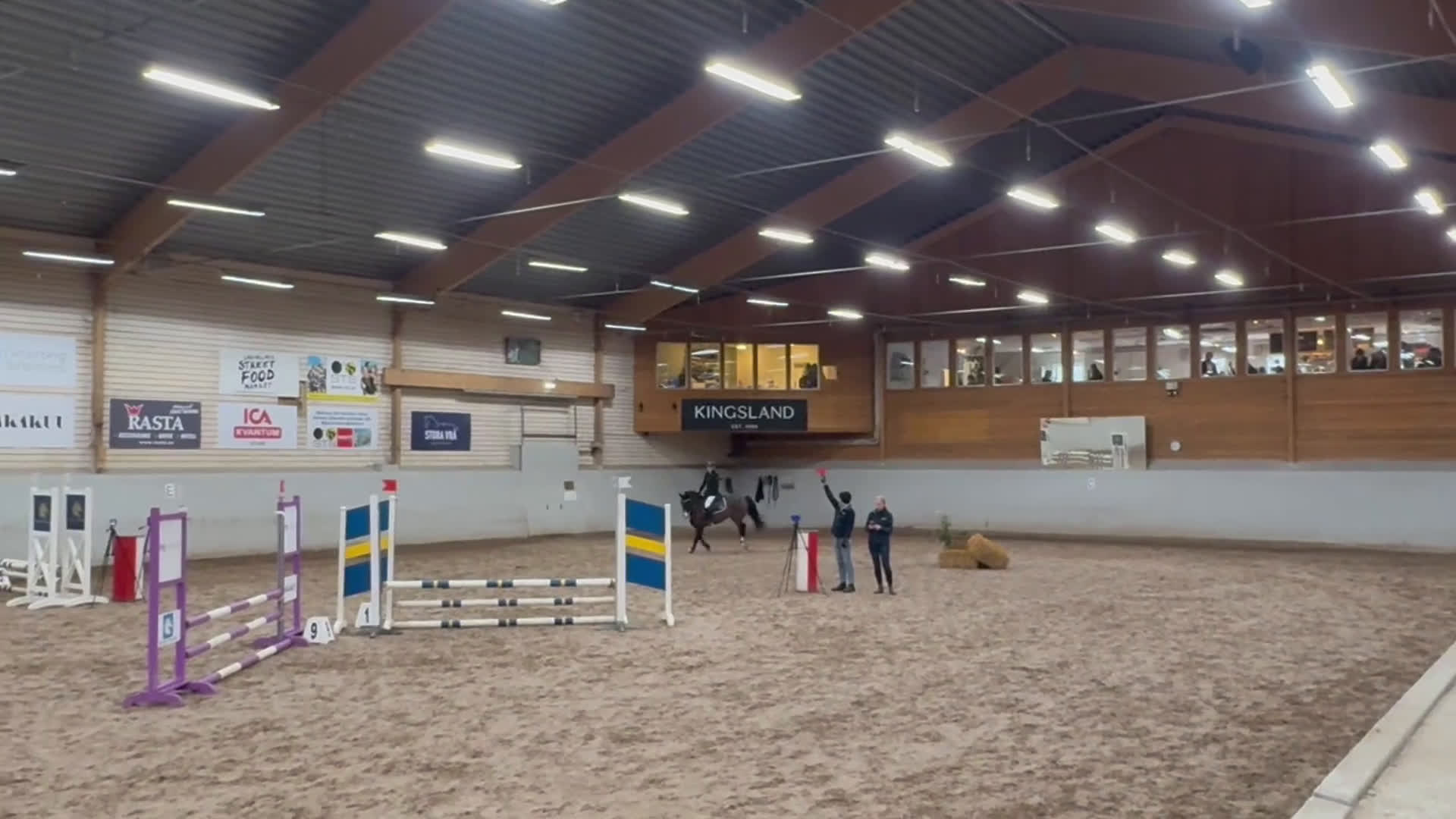 Allround hästar till salu: Charmig C-ponny söker sin nya familj i Hålta - Video 1