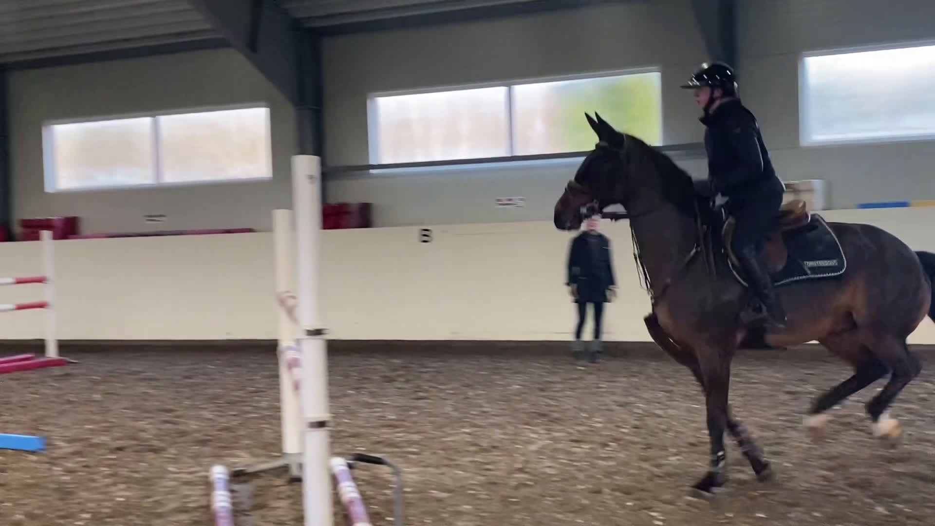 Avelshästar hästar till salu: Avelssto i Harbo - Video 1