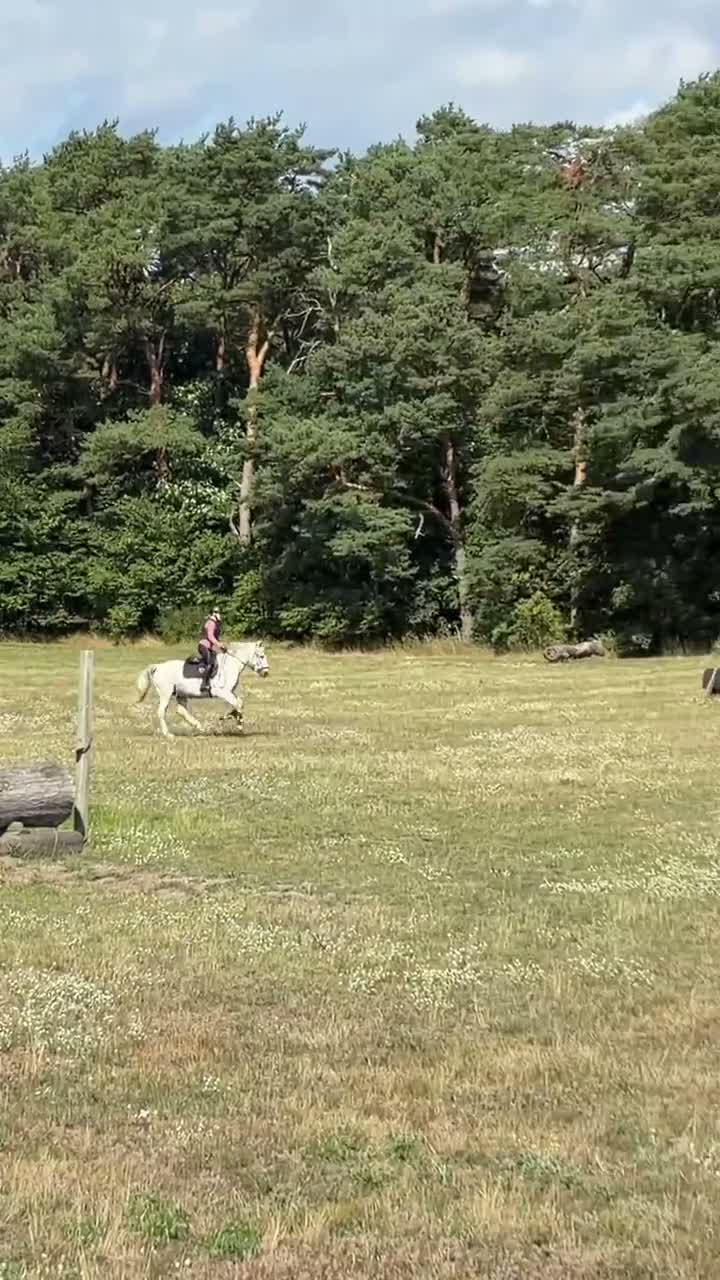  medryttarhäst sökes: Medryttarhäst sökes - Video 4
