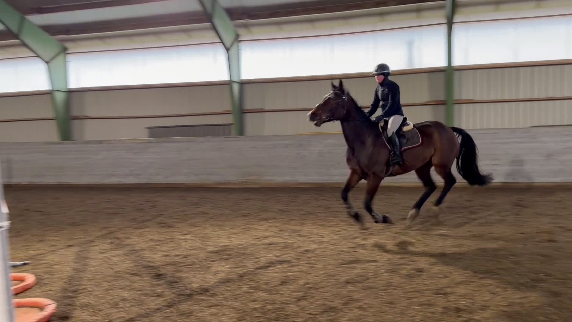 Allround hästar till salu: Trevligt sto!  - Video 1