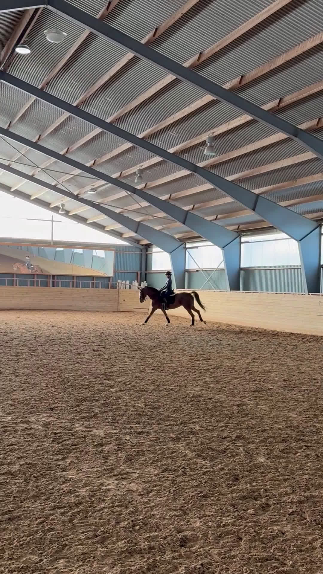 Dressyr hästar till salu: Underbart sto i Rimforsa - Video 3