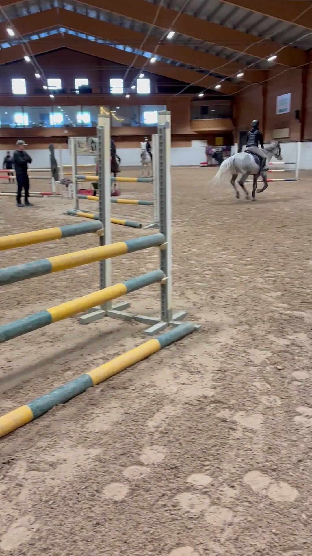 Hoppning hästar till salu: Talangfull c-ponny  i Arnäsvall - Video 1