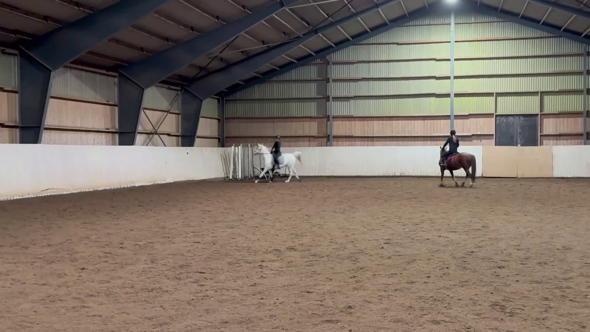 Dressyr hästar till salu: Snäll trevlig valack - Video 3