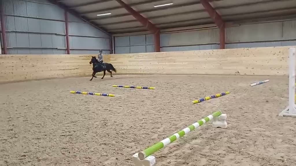 Allround hästar till salu: Snäll D ponny åt det piggare hållet  - Video 2