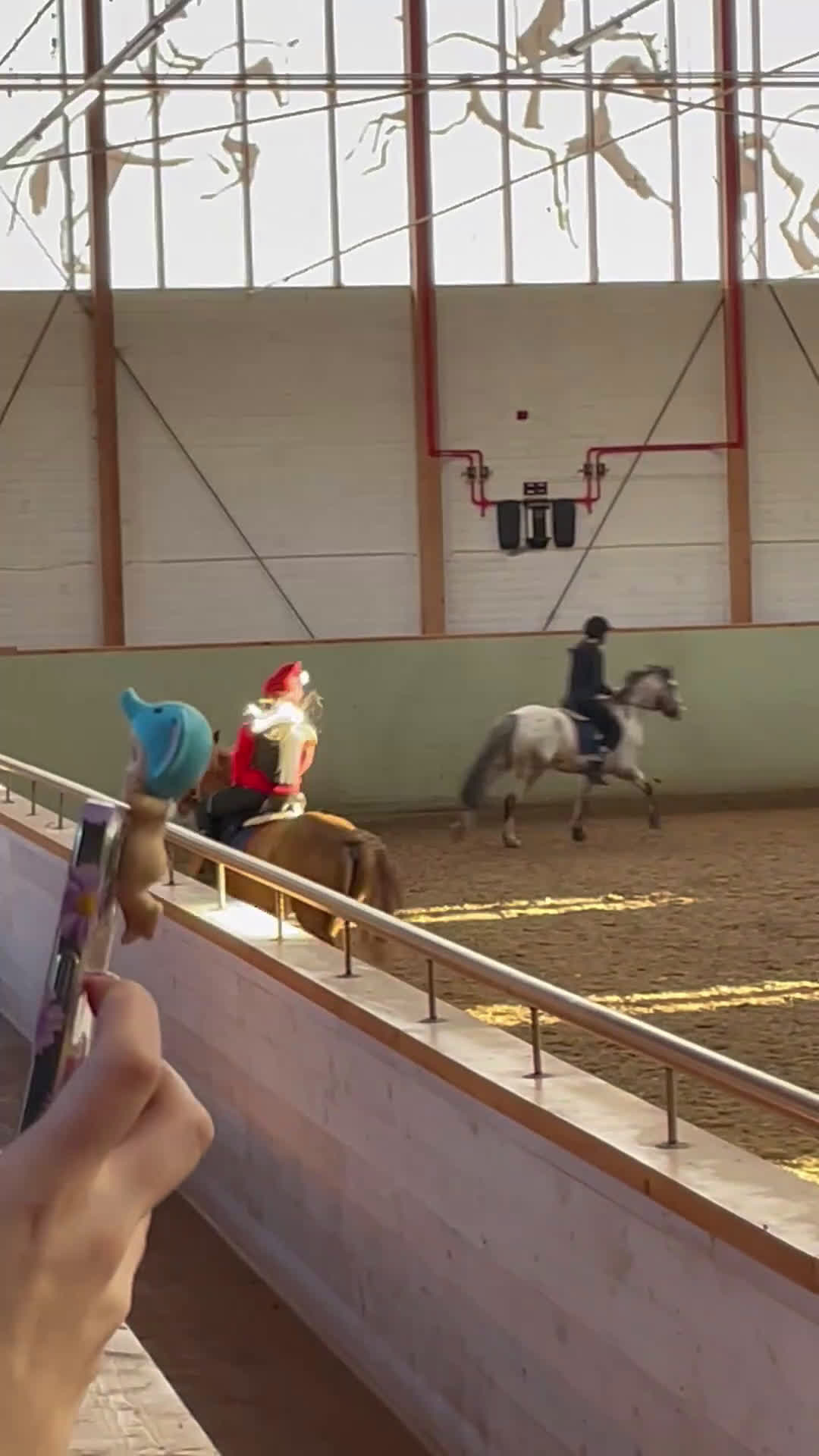  medryttarhäst sökes: Medryttarhäst SÖKES inom STOCKHOLM - Video 4