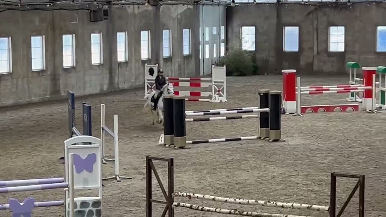 Hoppning hästar till salu: Super, snill og erfaren C-ponni selges - Video 4