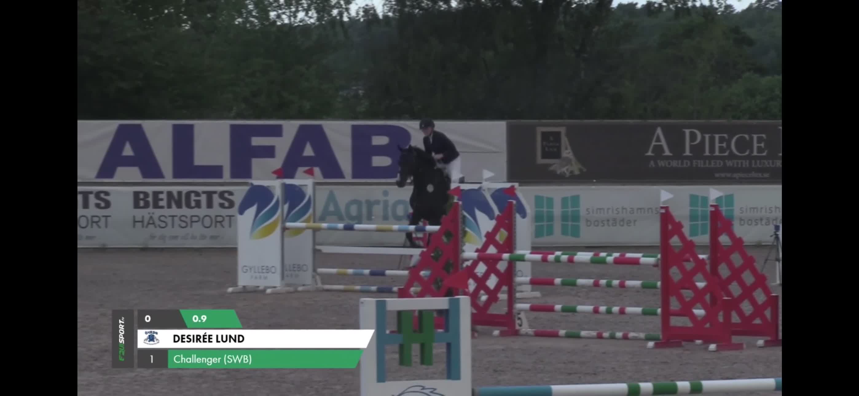 Hoppning hästar till salu: Snäll läromästare med stora kvaliteter  - Video 1