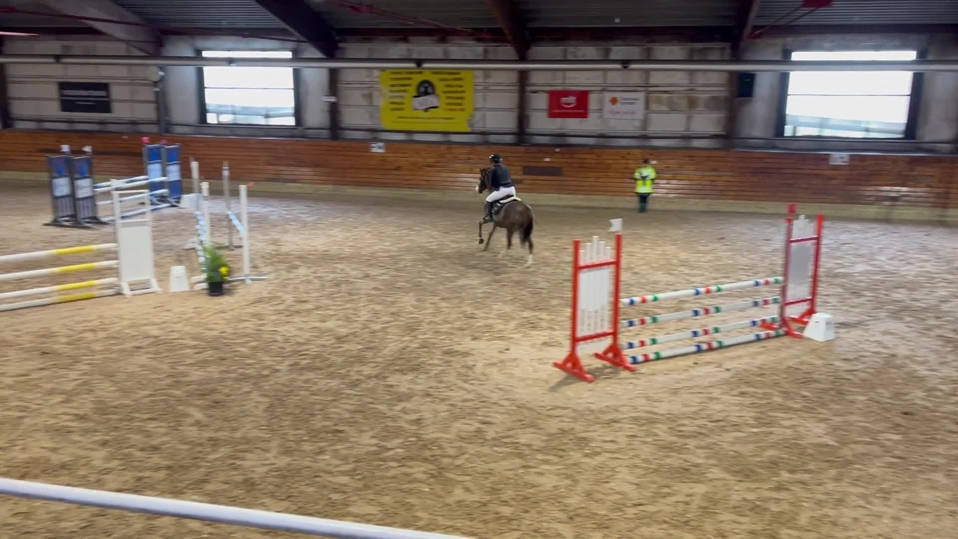 Hoppning hästar till salu: Välutbildad maxad C-Ponny  - Video 3