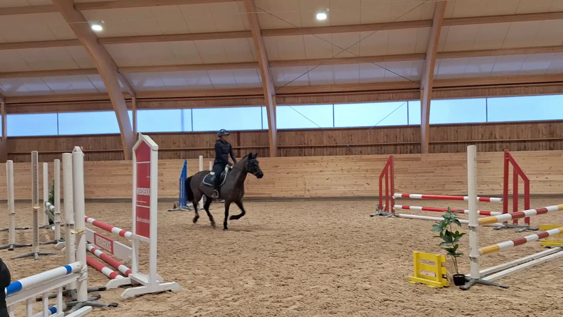 Allround hästar till salu: Supersnygg svart ponny med potential  - Video 1