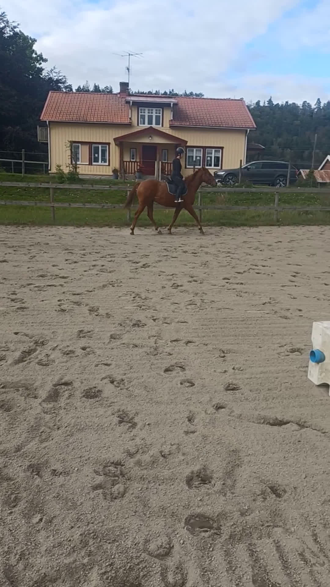 Allround hästar till salu: Ridhäst i Trollhättan - Video 1