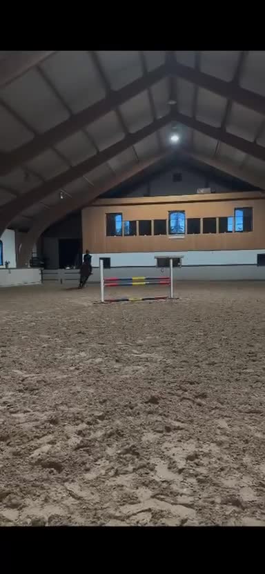Allround hästar till salu: Charmig och välutbildad valack söker rätt hem i Sigtuna - Video 4