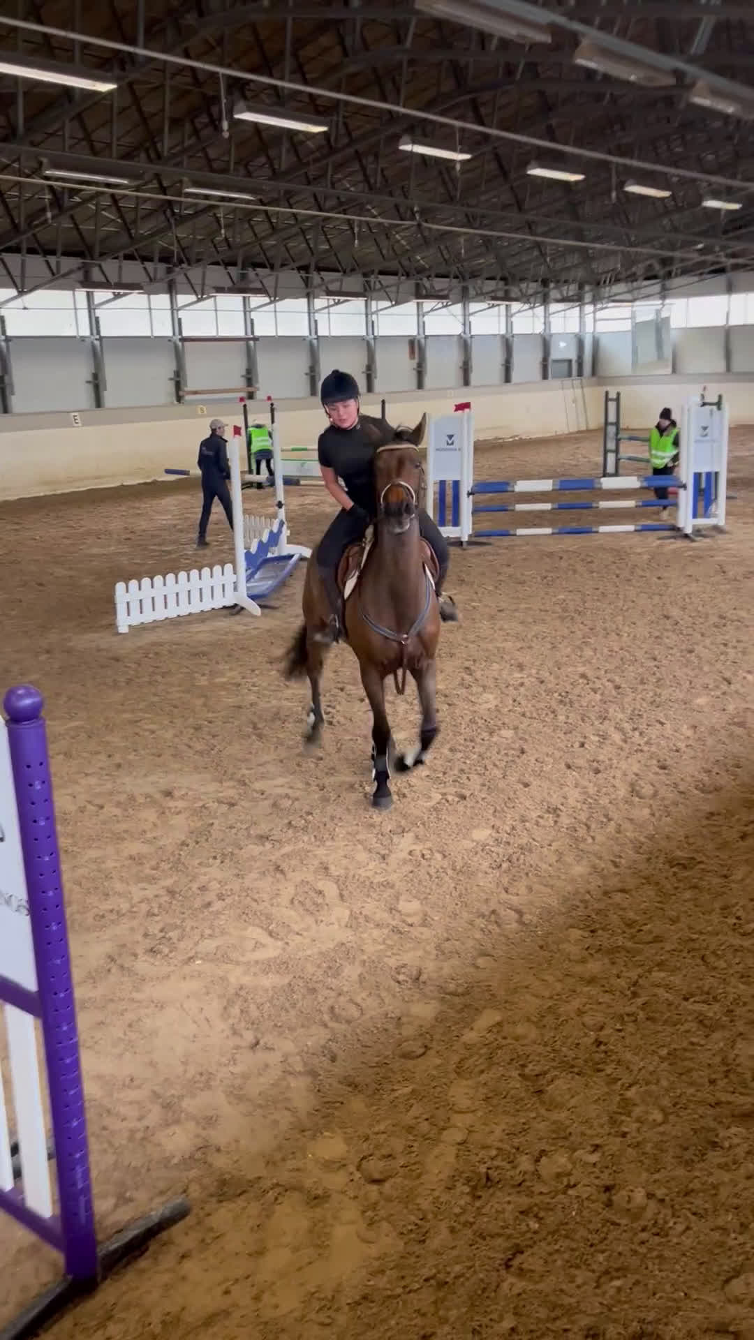 Allround hästar till salu: Till uteritt / hoppning  - Video 4