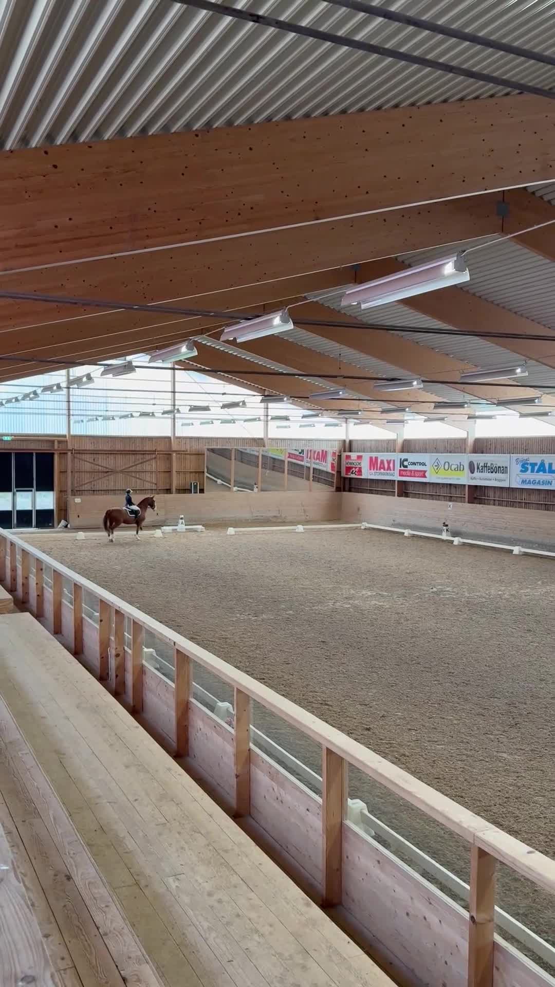 Allround hästar till salu: Trygg och trevlig allroundhäst med potential - Video 3