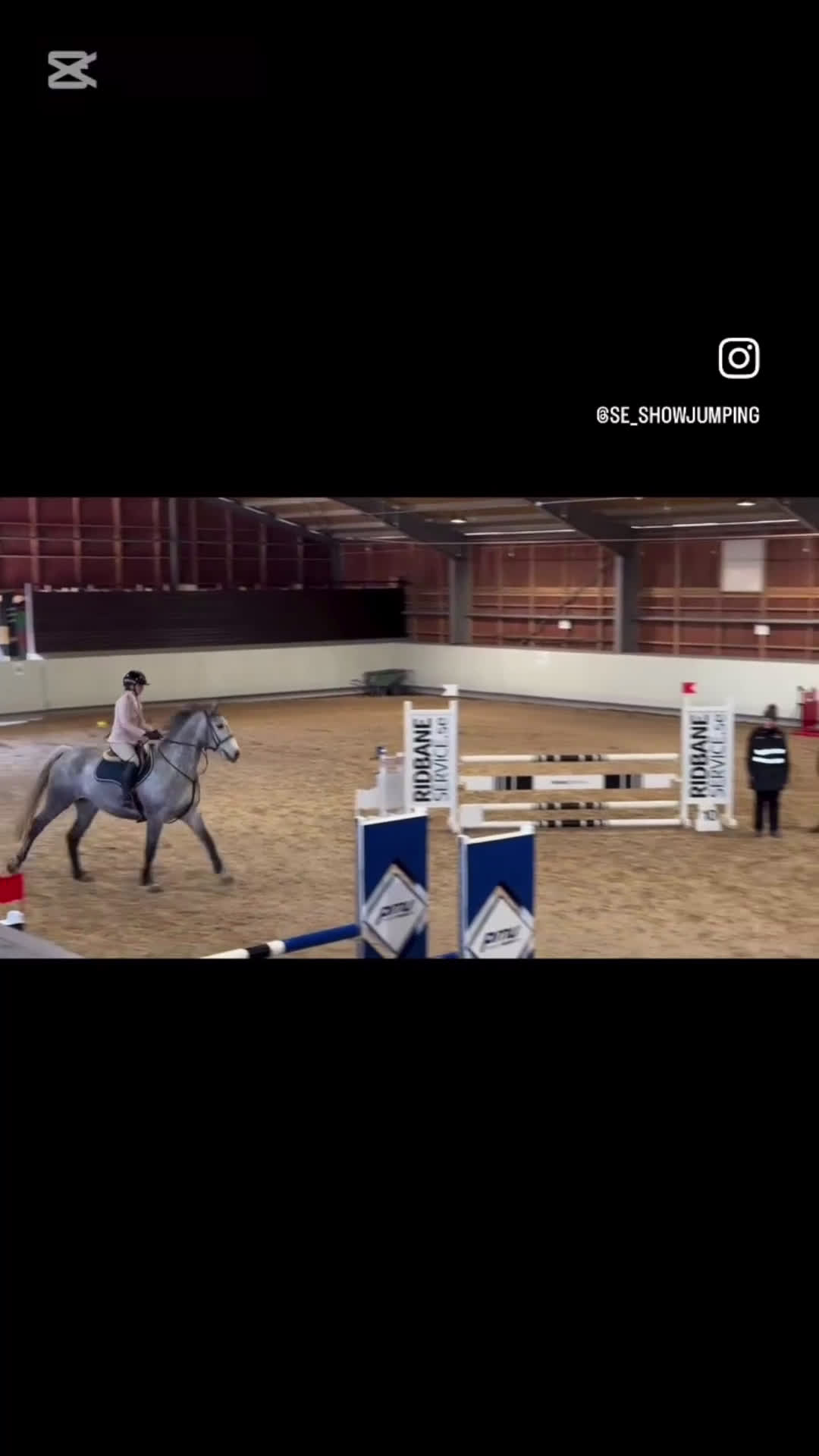 Hoppning hästar till salu: Kapabelt sto e Clinton II i Rottne - Video 1