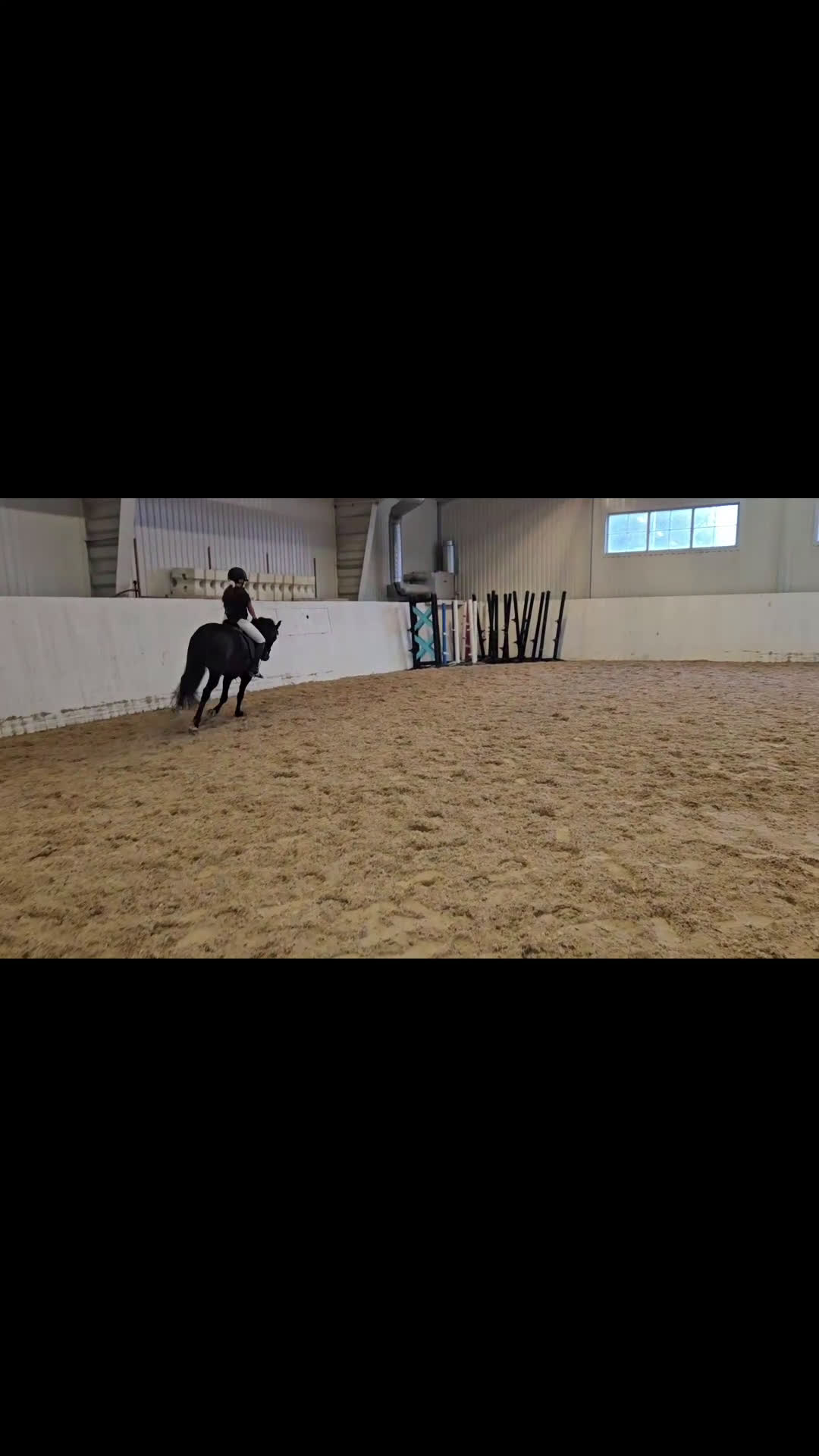 Dressyr hästar till salu: B-ponny med stor potential ⭐️ - Video 1