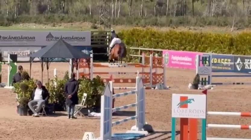 Hoppning hästar till salu: Flashigt hoppsto!   - Video 1