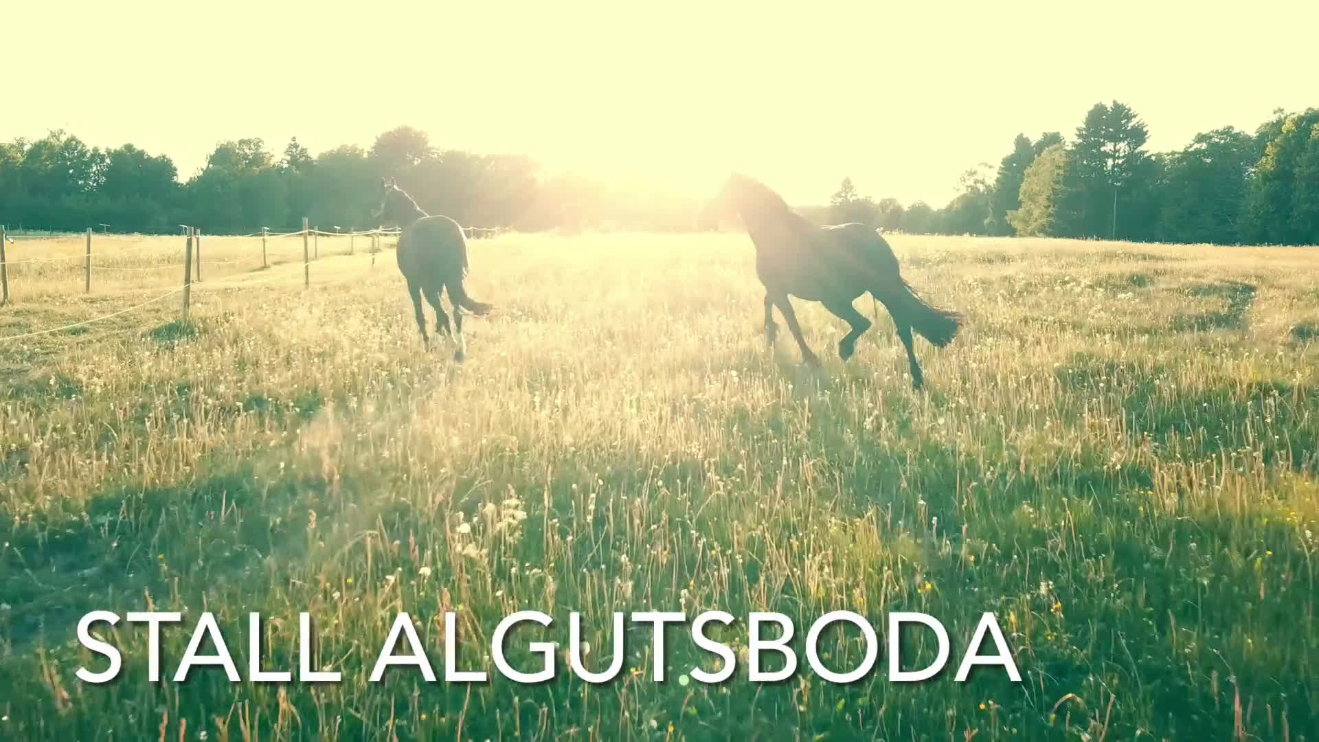  stallplats finnes: Stallplats för inackordering, Norrköping-Åby i Åby - Video 1