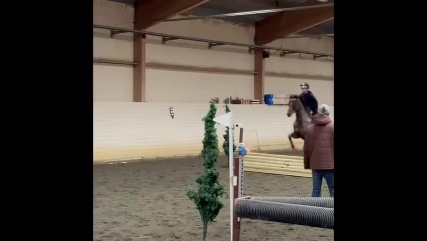Hoppning hästar till salu: Hopp el fälttävlanshäst  - Video 3