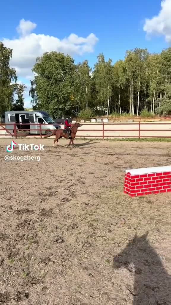 Hoppning hästar till salu: Linnekullens Quickstep – mod, tryck och kapacitet - Video 3
