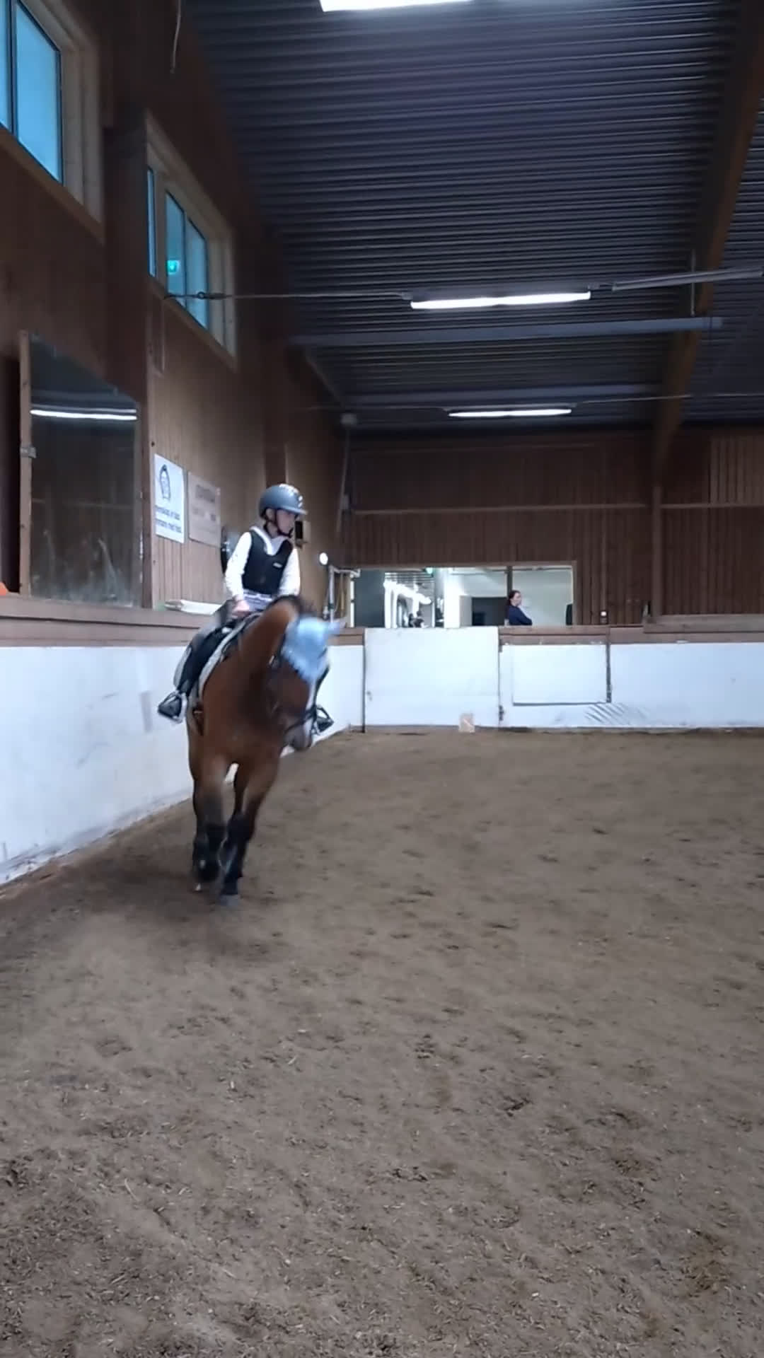  hästservice finnes: Inridning/utbildning/tävling - Video 1