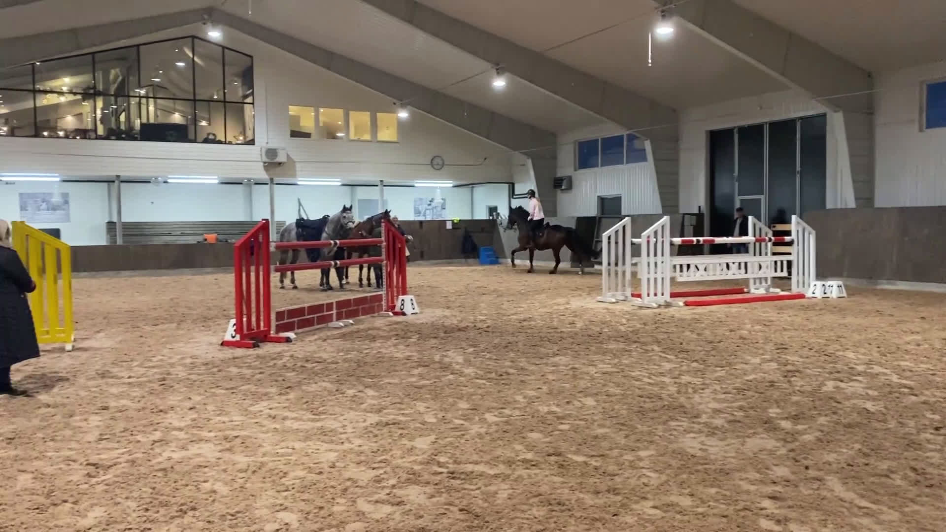 Hoppning hästar till salu: En bästavän och läromästare i Jonsered - Video 1