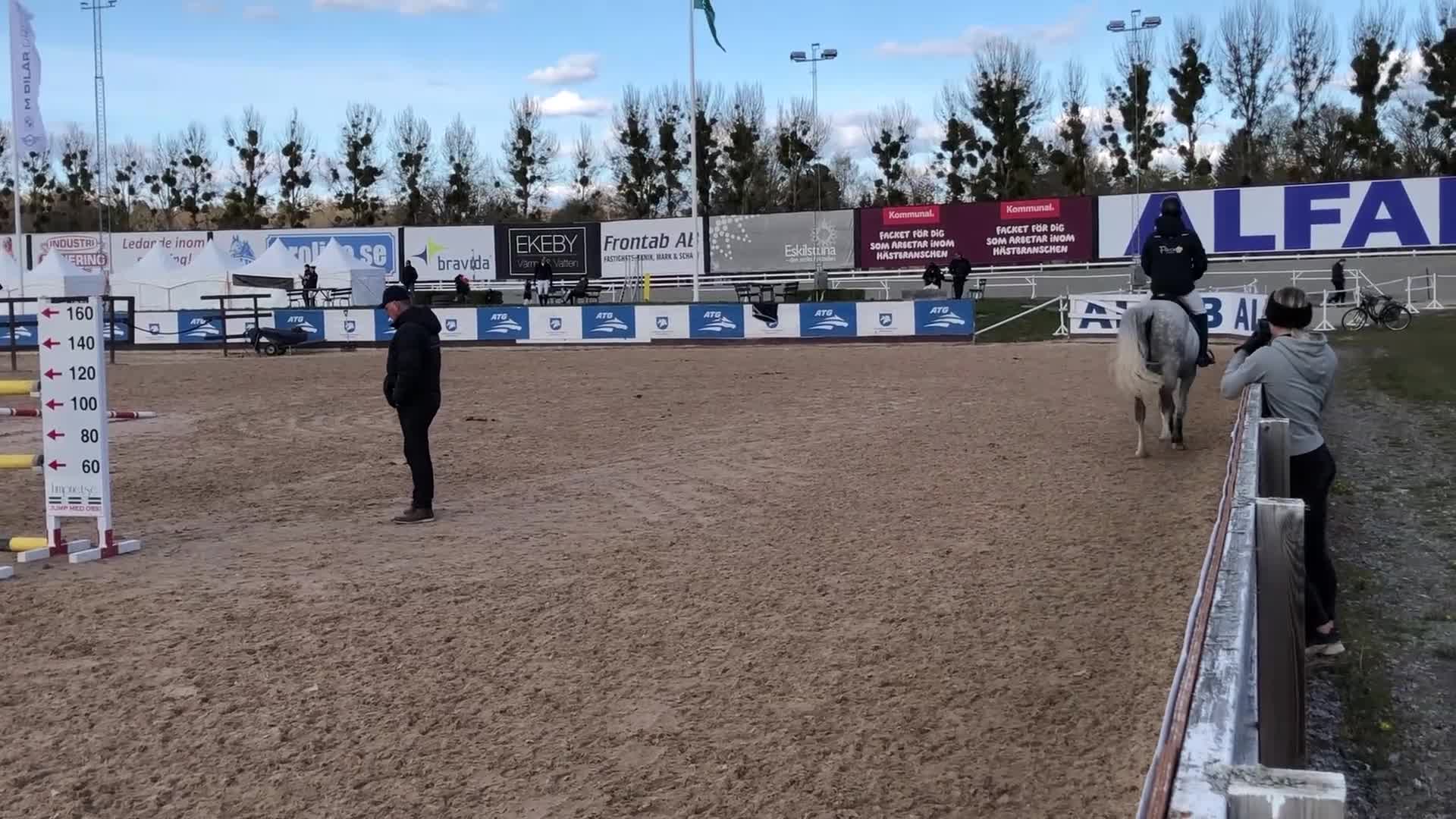 Hoppning hästar till salu: Välriden lätthanterlig hopphäst/dressyrhäst - Video 4