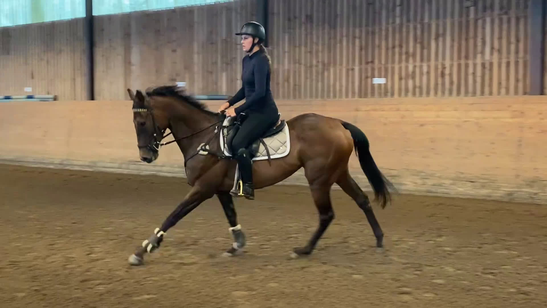 Allround hästar till salu: Vänligt sto som blir vad du gör henne till!  i Trollhättan - Video 3