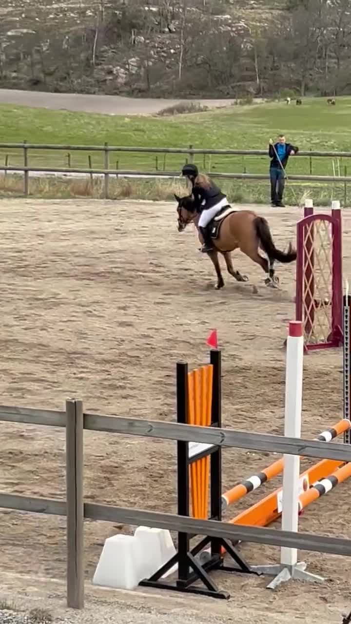 Allround hästar till salu: Ponny med stor potential - Video 1