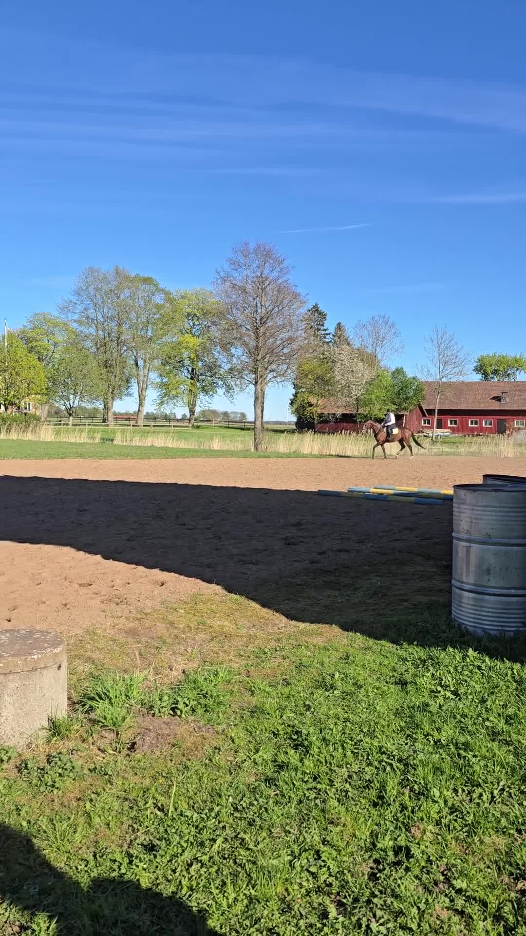 Allround hästar till salu: Fantastisk hobby häst  - Video 2