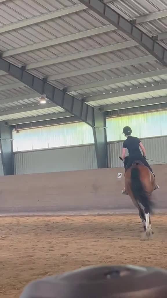 Allround hästar till salu: Underbar 7årig valack säljes ♥️ i Säve - Video 4