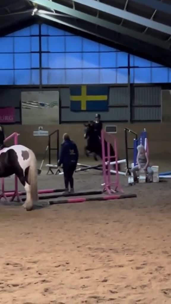  medryttarhäst sökes: Söker häst 1-2 dagar/vecka! - Video 4