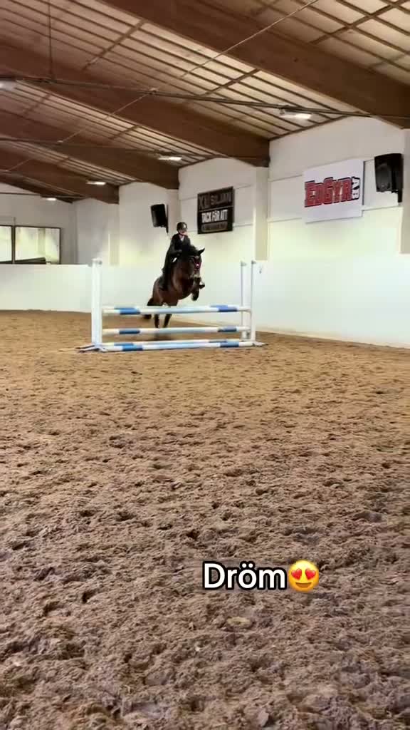 Allround hästar till salu: Fin hobbyhäst - Video 1