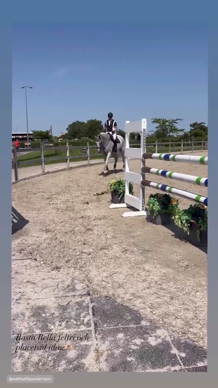 Allround hästar till salu: Fantastisk juniorhäst/läromästare! i Laholm - Video 2