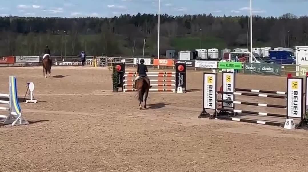 Hoppning hästar till salu: Trevligt hoppsto  - Video 3