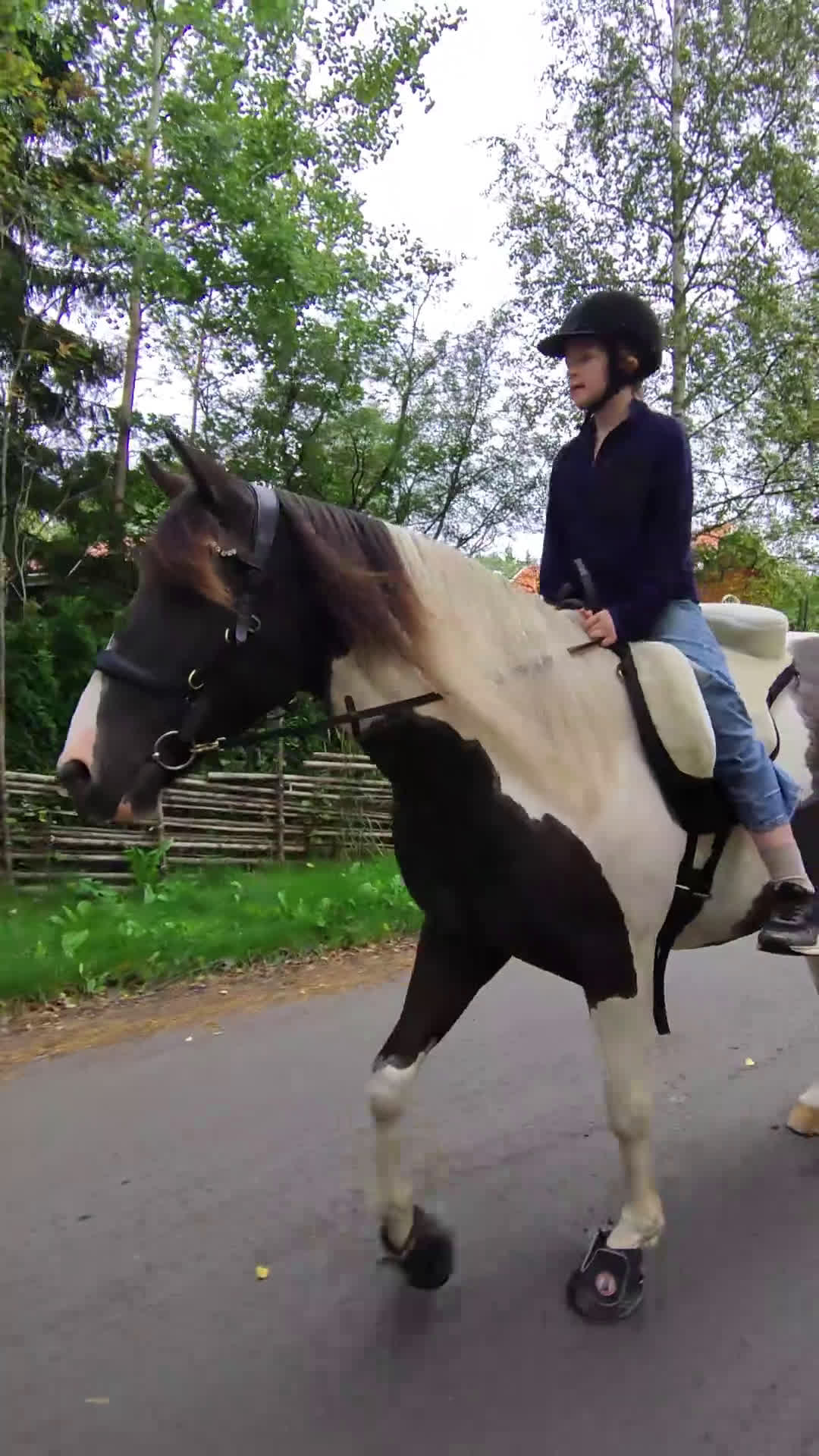 Allround hästar till salu: 5 årig paint mix med ett fantastiskt temperament ⭐ i Brottby - Video 2