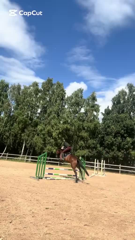 Allround hästar till salu: En häst med hjärta och motor🤍 - Video 1