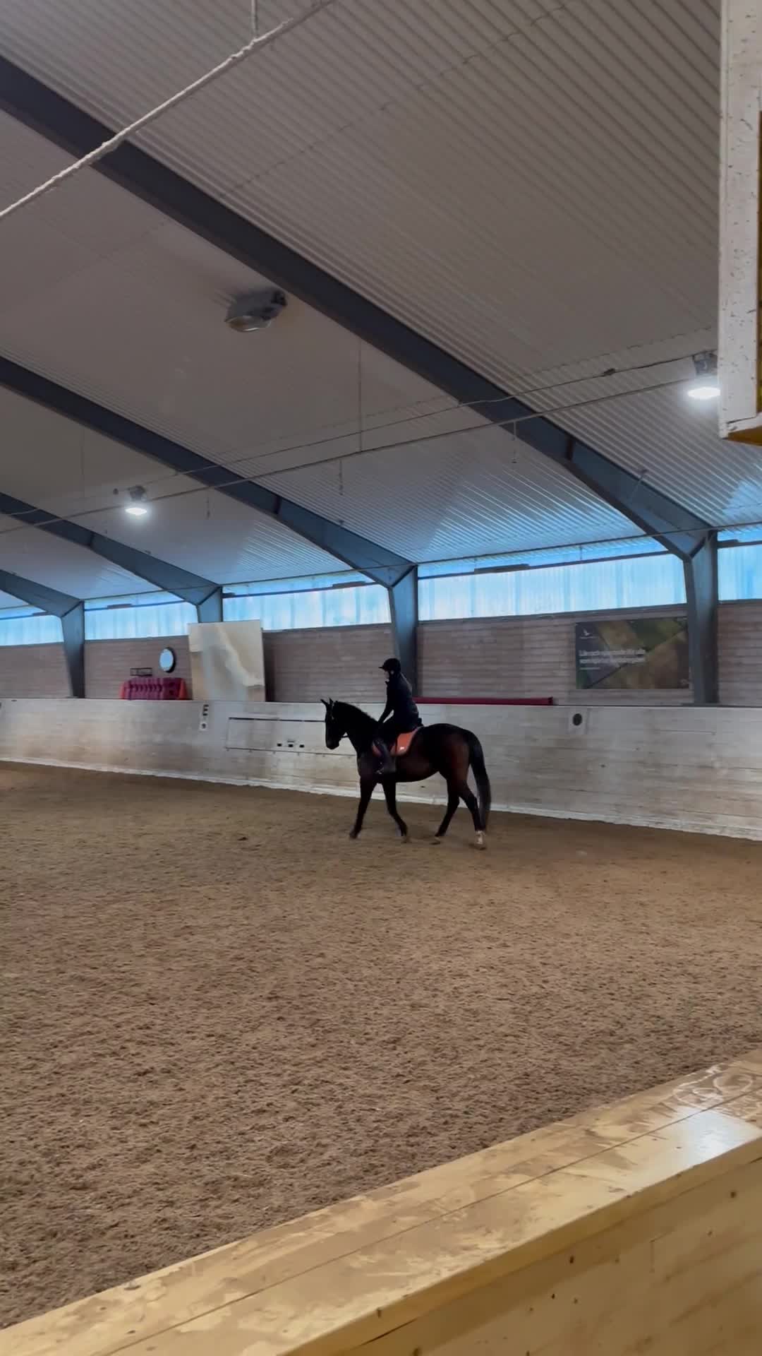 medryttarhäst sökes: Söker medryttar häst eller ponny i Uppsala - Video 2