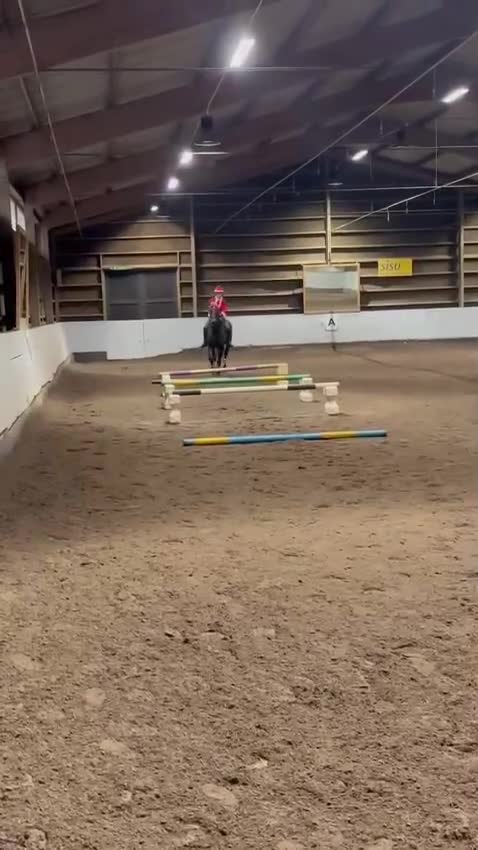  medryttarhäst sökes: Medryttarhäst Sökes i/nära Eslöv/lLund✨ - Video 3