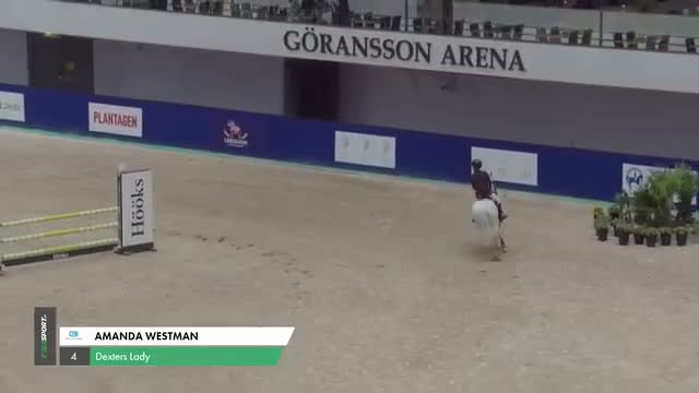 Hoppning hästar till salu: Ponny för den som satsar - Video 2
