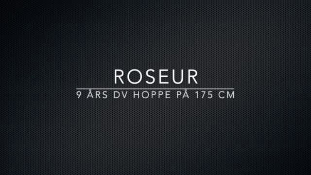 Dressyr hästar till salu: Harmonisk häst med bra ridbarhet - Video 1