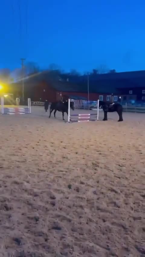 Allround hästar till salu: Kakan - Trevlig häst söker erfaren ryttare - Video 1